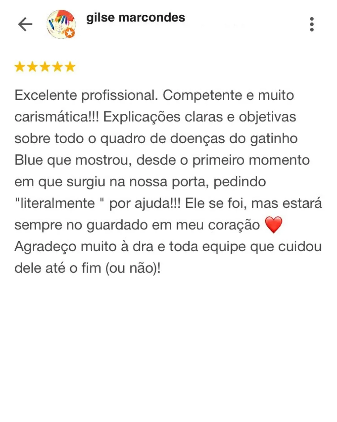 Médica Veterinária Sorocaba - Médica Veterinária Sorocaba - Dra. Maria Luíza Pássaro (3)